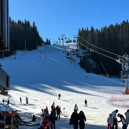 Heidi - Zlatni Javor Τζαχορίνα