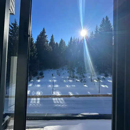 Διαμέρισμα Heidi - Zlatni Javor 3*