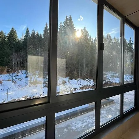 Heidi - Zlatni Javor