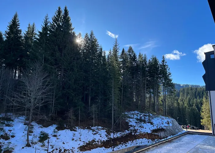 Apartment Heidi - Zlatni Javor 3*