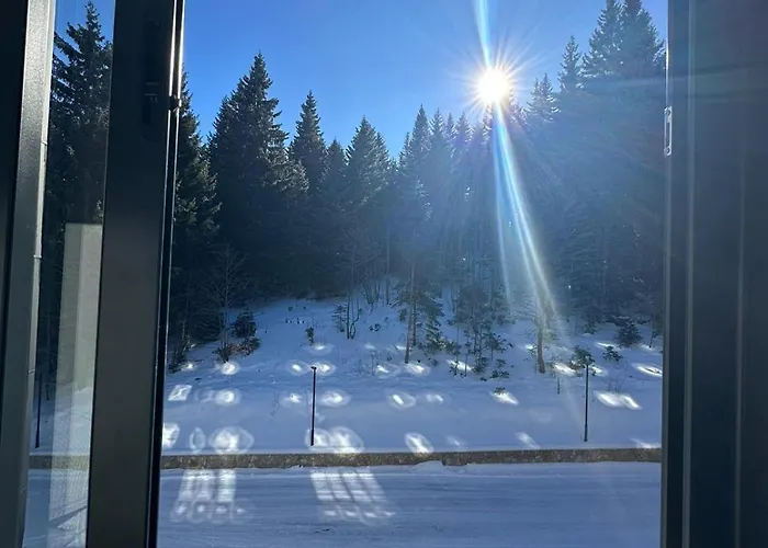 Apartment Heidi - Zlatni Javor 3*